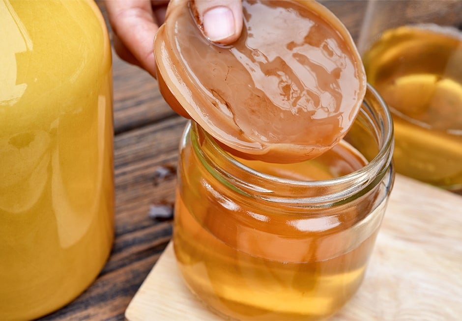 Comment faire du kombucha