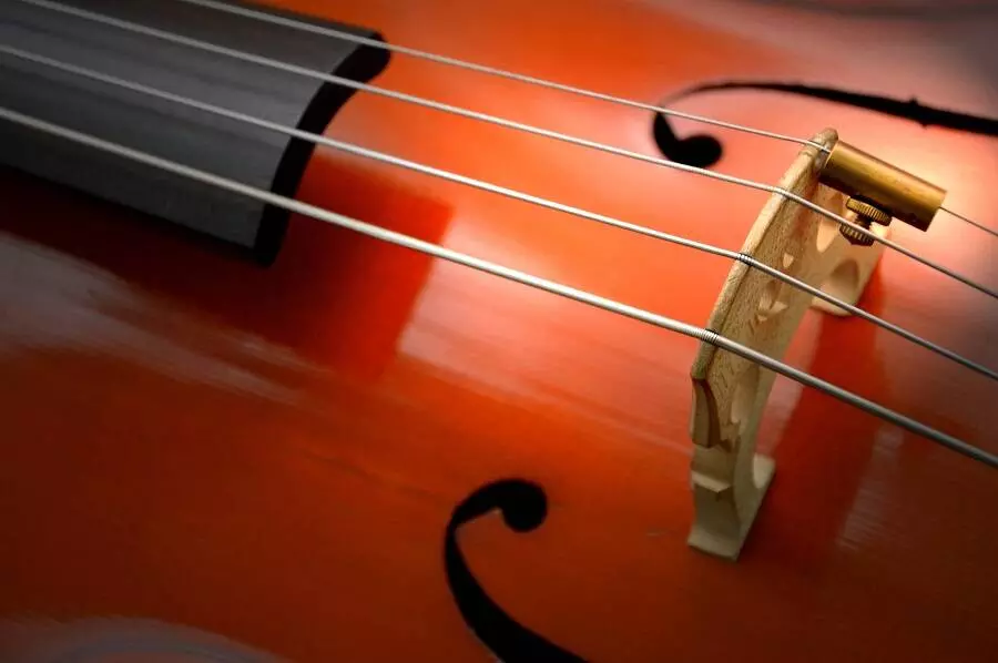 Les meilleures cordes pour violoncelle