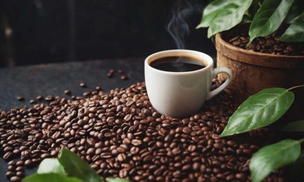 Du champ à la tasse les étapes clés de la production de café en grain artisanal